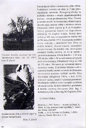 Zbornk Tekovskho mzea v Leviciach